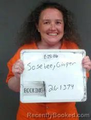 Mugshot of GINGER RAYDALE SOSEBEE