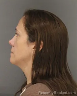 Mugshot of Gina Lee Fleming