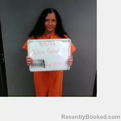 Mugshot of Rachel Lee Ann Pense