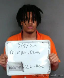 Mugshot of DEVIN TYRESE MINGO