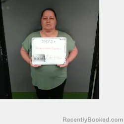 Mugshot of Debbie Renee King-Lucas