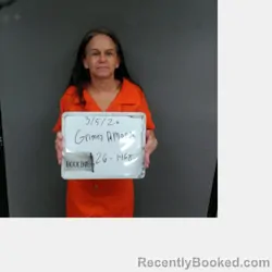 Mugshot of AMANDA MICHELLE GRIMES