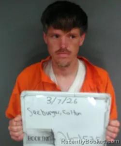 Mugshot of Joanna Marie Strozier