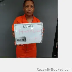 Mugshot of Destiny Shonte Holman