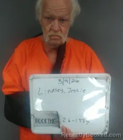 Mugshot of JESSIE TERRELL LINDSEY