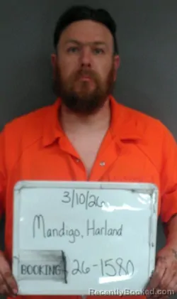 Mugshot of Harland Eric Mandigo