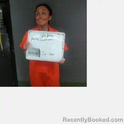Mugshot of Cathleen Michelle Henry