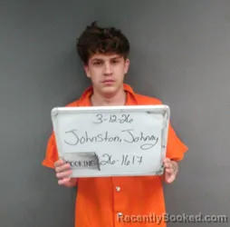 Mugshot of Johnny Ray Johnston