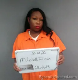 Mugshot of Felicia Nicole Mitchell