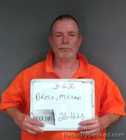 Mugshot of Michael Wayne Brock