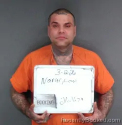 Mugshot of Louis Lee Third Napier