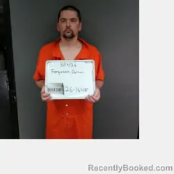 Mugshot of DALTON JAMES FERGUSON