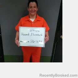 Mugshot of ELIZABETH ANN HOWARD