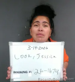 Mugshot of Jessica Eileen Cook