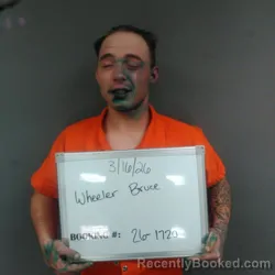 Mugshot of Bruce Olen Third Wheeler