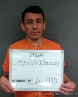 Mugshot of Zenaeido Loeza-Castillo