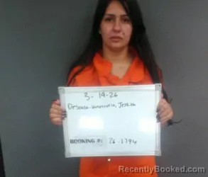 Mugshot of Jessica De Souza-Honostorio