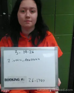 Mugshot of Anastasia Zivotic