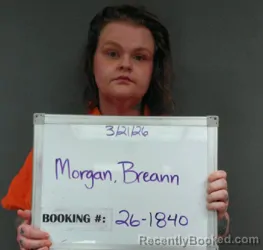 Mugshot of BREANN M MORGAN