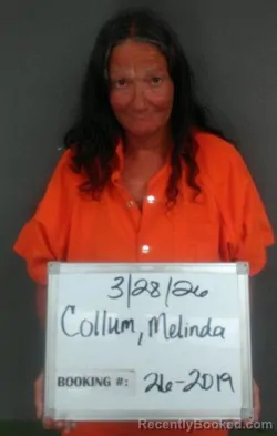 Mugshot of MELINDA SUE COLLUM