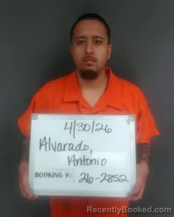 Mugshot of ANTONIO Junior ALVARADO booked in Sebastian County, Arkansas on April 29, 2026