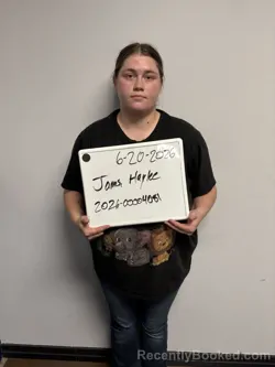 Mugshot of Haylee James booked in Sebastian County, Arkansas on June 20, 2026