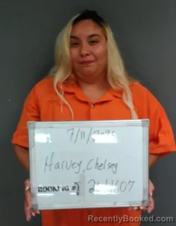 Mugshot of Chelsey Harvey booked in Sebastian County, Arkansas on July 11, 2026