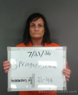 Mugshot of Seana Maureen Springer