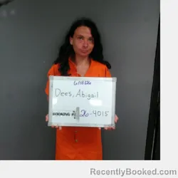 Mugshot of Abigail Leann Dees booked in Sebastian County, Arkansas on August 9, 2026