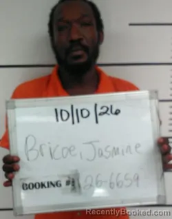 Mugshot of Jasmine Jerrome Briscoe booked in Sebastian County, Arkansas on October 10, 2026