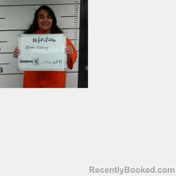 Mugshot of Casey Elizabeth Oliver booked in Sebastian County, Arkansas on October 22, 2026