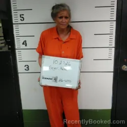 Mugshot of Rene Ann Geyer booked in Sebastian County, Arkansas on October 26, 2026
