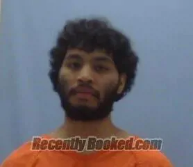 Booking photo from Sevier County, Arkansas