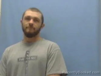 Mugshot of LEVI FOLLIS