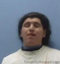 Mugshot of AARON LERMA