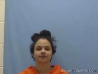 Mugshot of SHANEA REANN STIGER