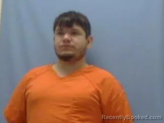 Mugshot of AUSTIN HELMS