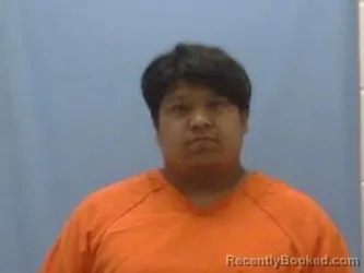 Mugshot of HERIBERTO ANDRADE booked in Sevier County, Arkansas on March 22, 2026