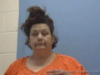 Mugshot of DEBBIE TONEY booked in Sevier County, Arkansas on April 4, 2026