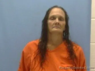 Mugshot of WANDA MORRIS booked in Sevier County, Arkansas on April 24, 2026