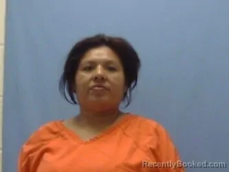 Mugshot of MELISSA JEANINE MARTIN booked in Sevier County, Arkansas on May 29, 2026