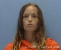 Mugshot of AMBER M POLLARD booked in Sevier County, Arkansas on June 11, 2026