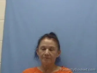 Mugshot of PHYLLIS MAXINE PHILLIPS booked in Sevier County, Arkansas on June 23, 2026