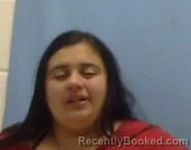Mugshot of JORDAN RENEE JACOBY booked in Sevier County, Arkansas on July 5, 2026