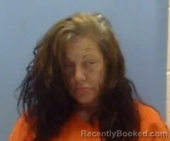 Mugshot of ROBIN GEORGETTE WHISENHUNT booked in Sevier County, Arkansas on July 17, 2026