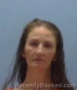 Mugshot of Wendy Michelle Burge booked in Sevier County, Arkansas on September 14, 2026