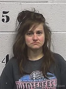 Mugshot of Melissa Danielle Lisenby