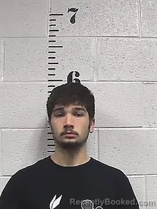 Mugshot of William Sabastian Overton