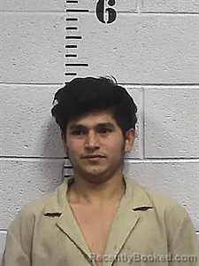 Mugshot of Elmer Guevara Leveron