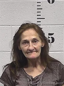 Mugshot of Lisa Lynette Allard